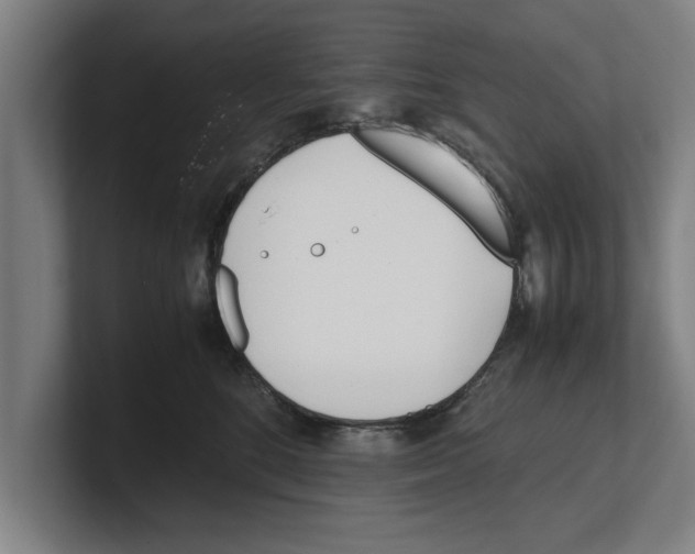 X0000100770520200807171414