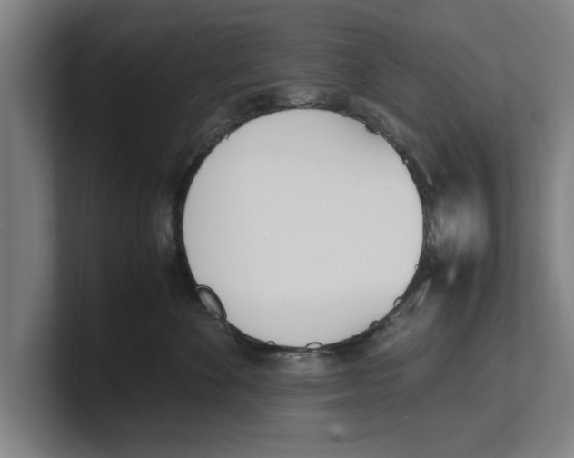 X0000100770524200807171414