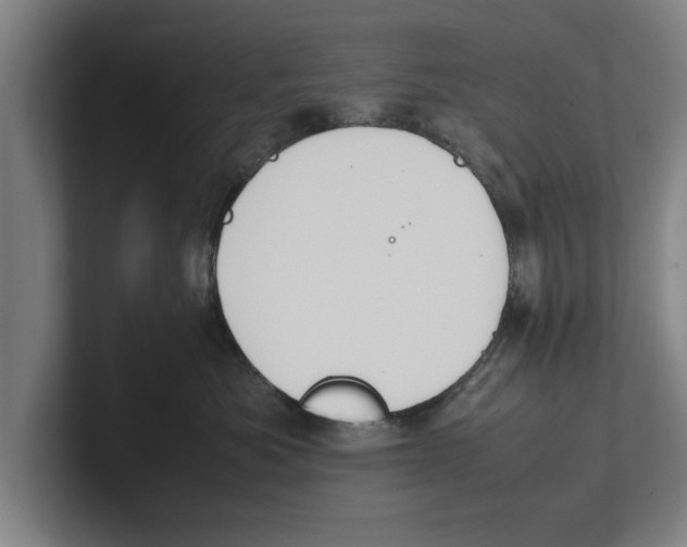 X0000100770525200807171414