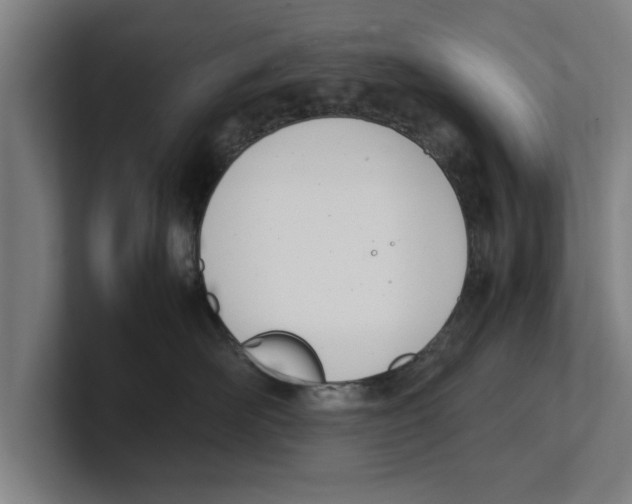 X0000100770526200807171414