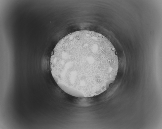 X0000100770527200807171414
