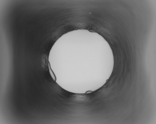 X0000100770528200807171414