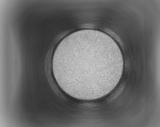 X0000100770529200807171413