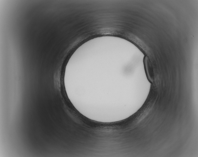 X0000100770530200807171413