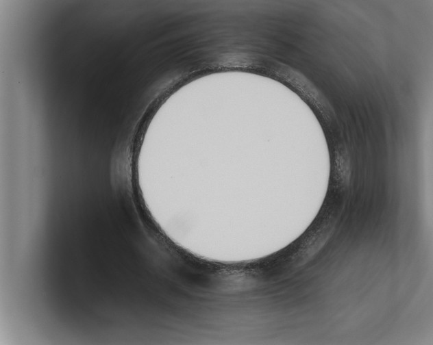 X0000100770534200807171414