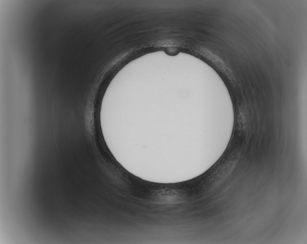 X0000100770535200807171414