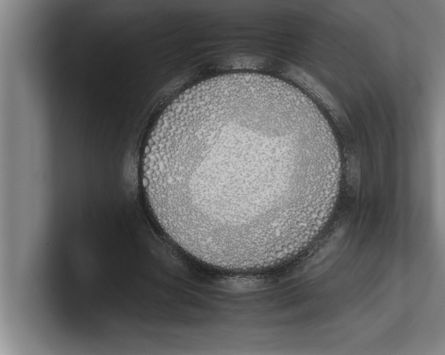 X0000100770537200807171414