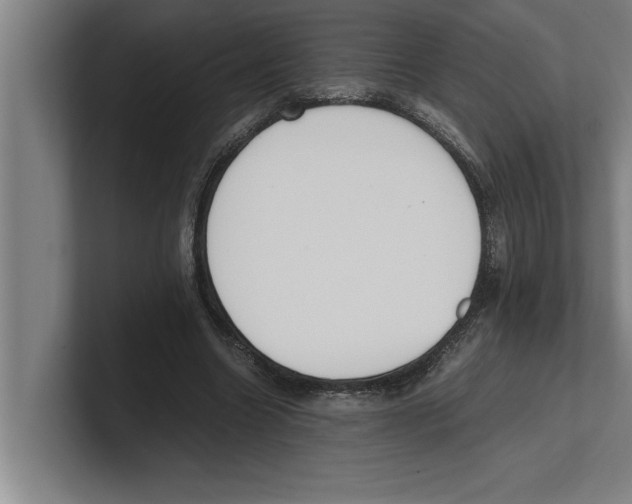 X0000100770538200807171414