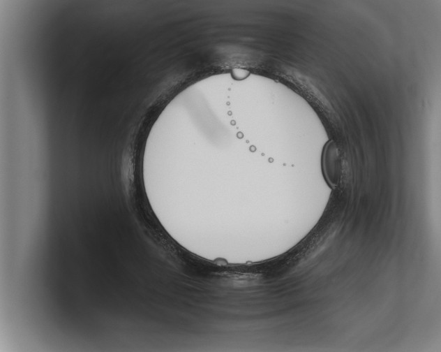 X0000100770539200807171414