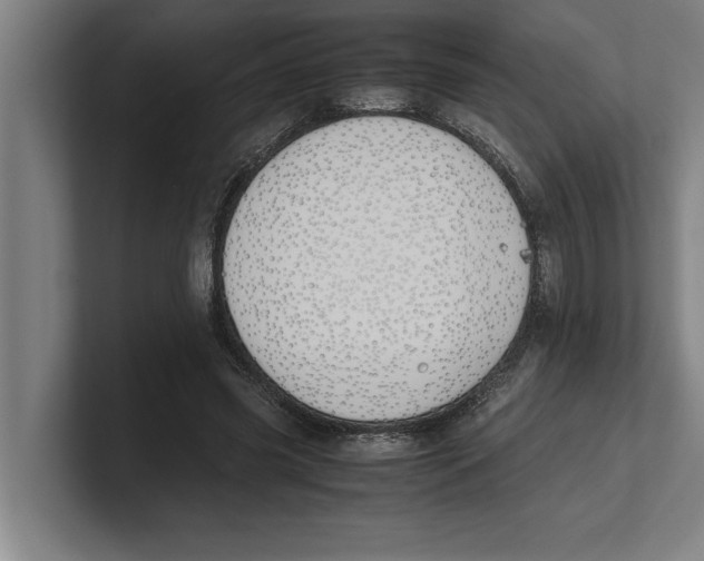 X0000100770541200807171414