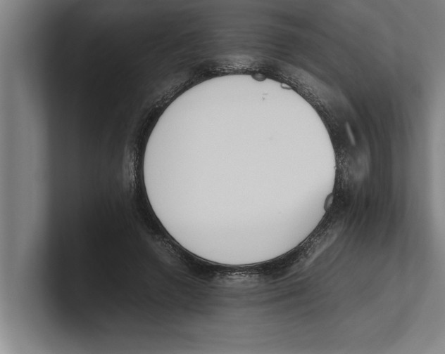 X0000100770546200807171414