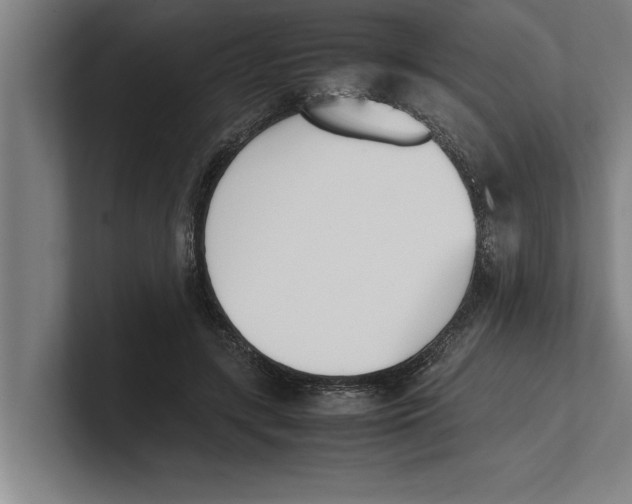 X0000100770547200807171414