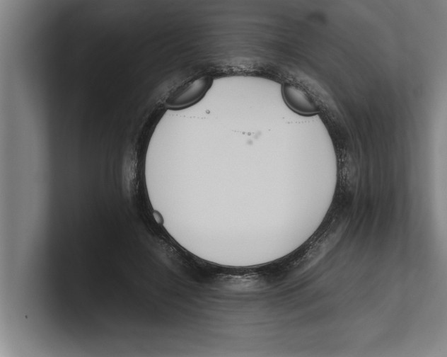 X0000100770548200807171414