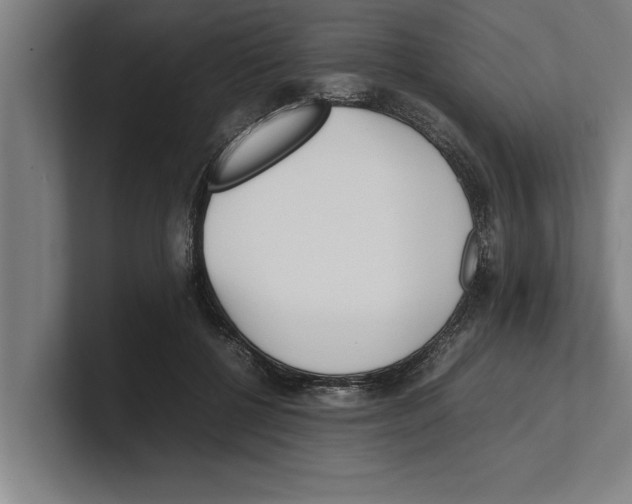 X0000100770552200807171414