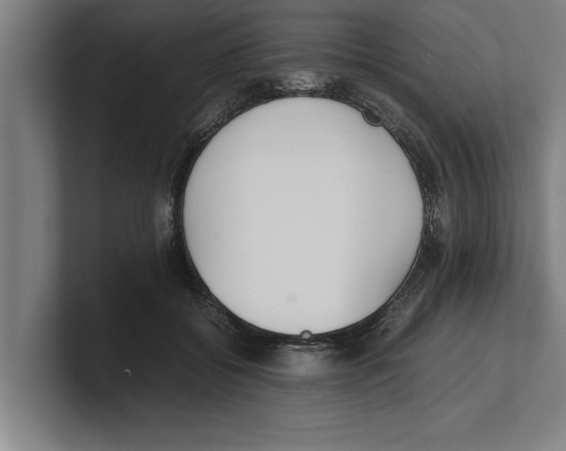 X0000100770556200807171414