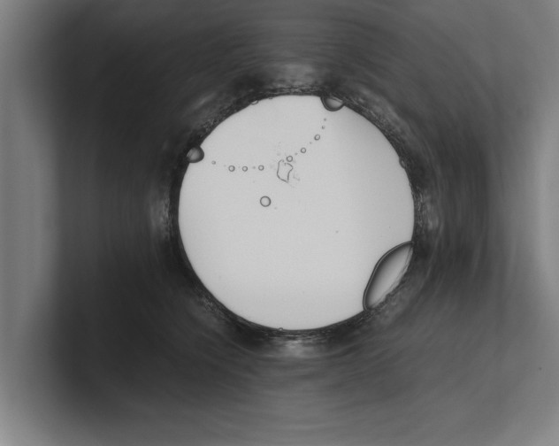 X0000100770564200807171414