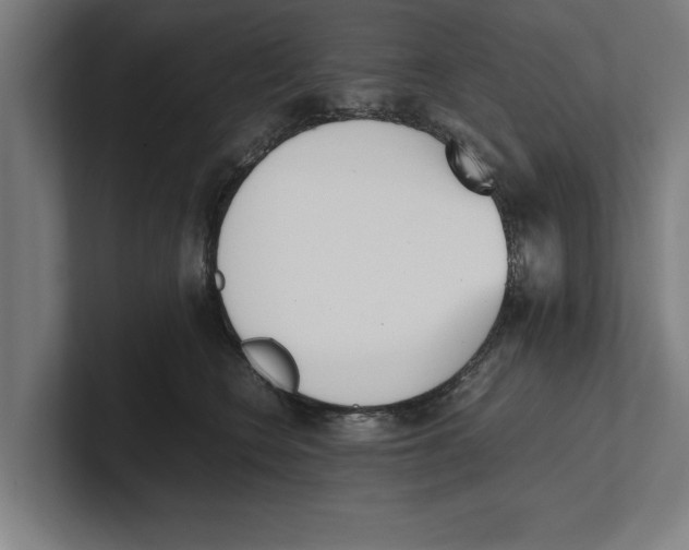 X0000100770566200807171414