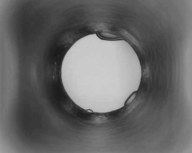 X0000100770572200807171414
