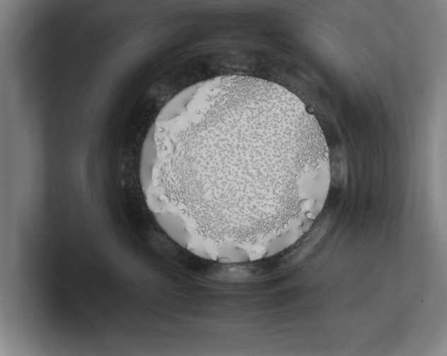 X0000100770573200807171414