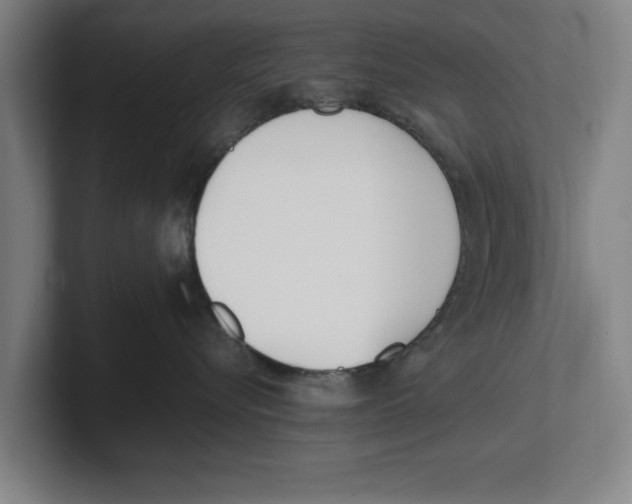 X0000100770576200807171414