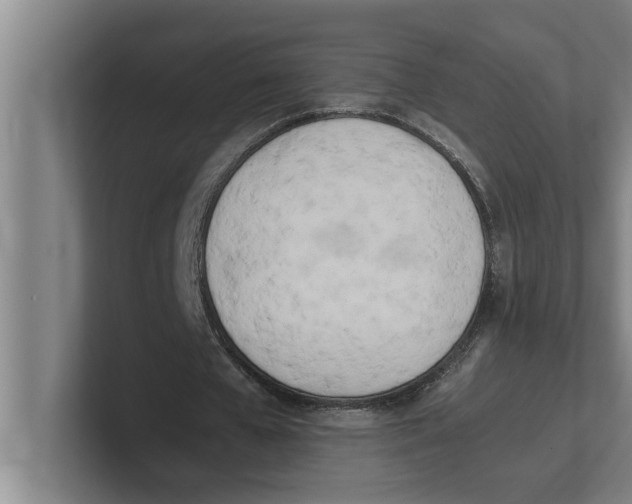 X0000100770577200807171413