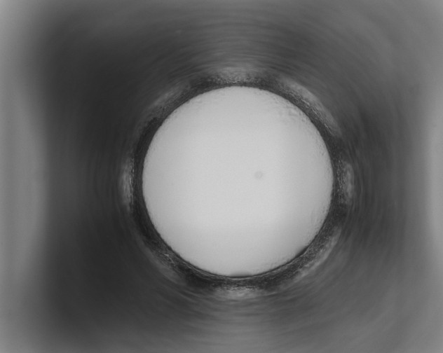 X0000100770590200807171413
