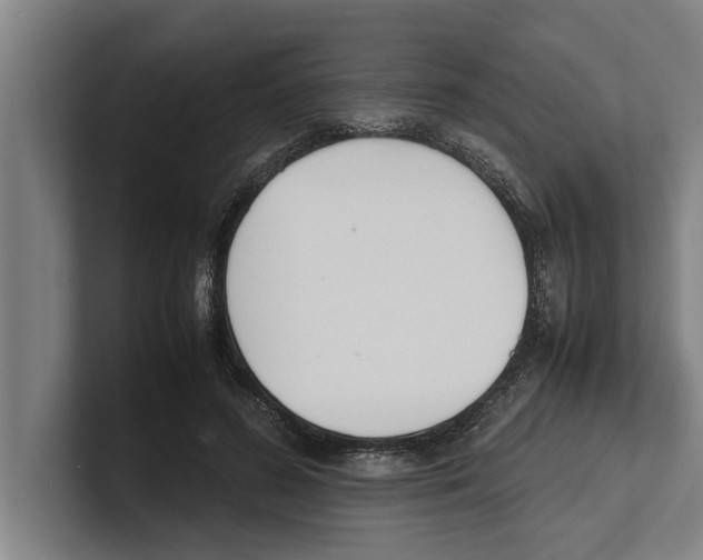 X0000100770596200807171413