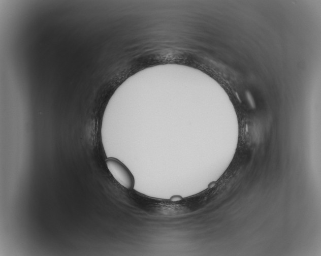 X0000100770605200807171413