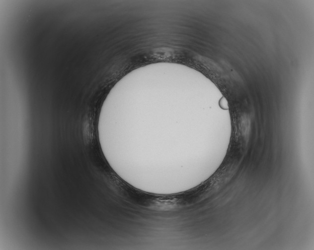 X0000100770606200807171413