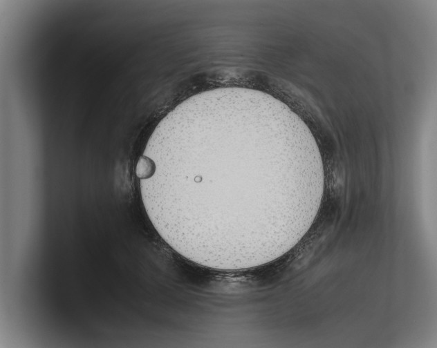 X0000100770607200807171413
