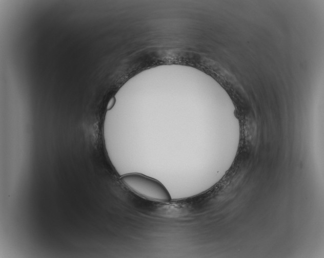 X0000100770611200807171413