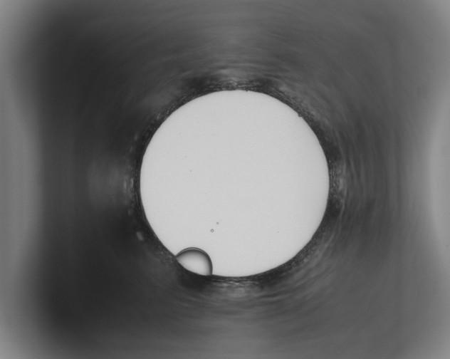 X0000100770615200807171413
