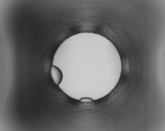 X0000100770619200807171413
