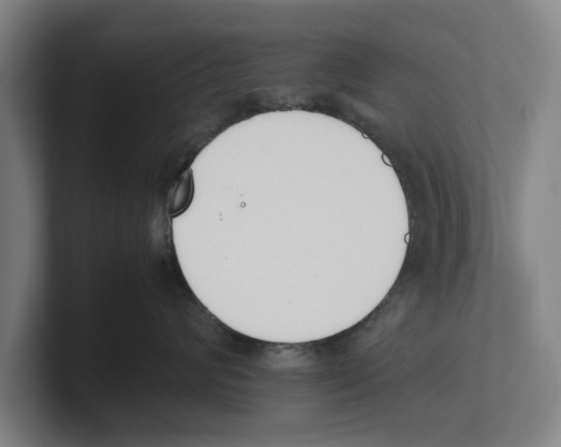 X0000100770624200807171413