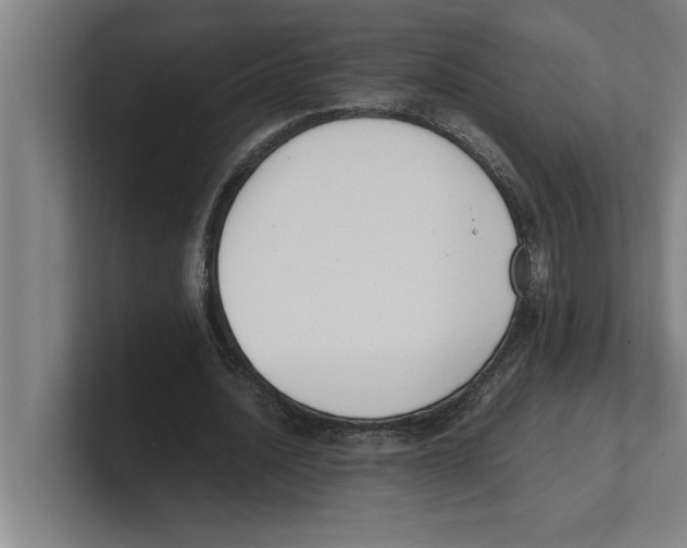 X0000100770628200807171412