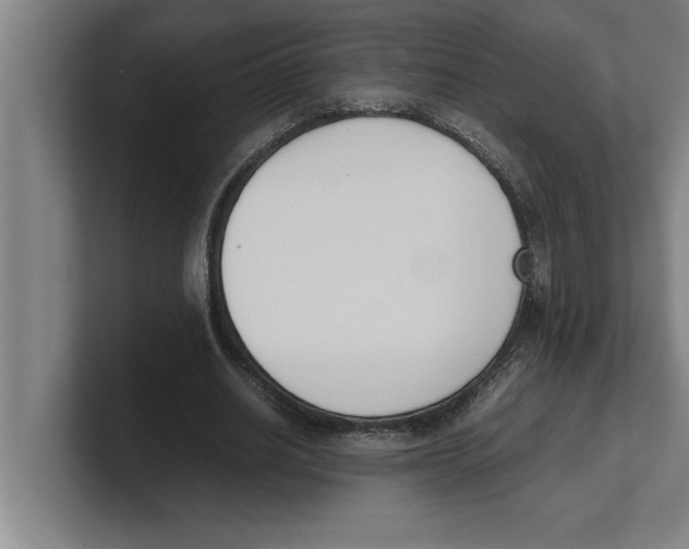 X0000100770630200807171412