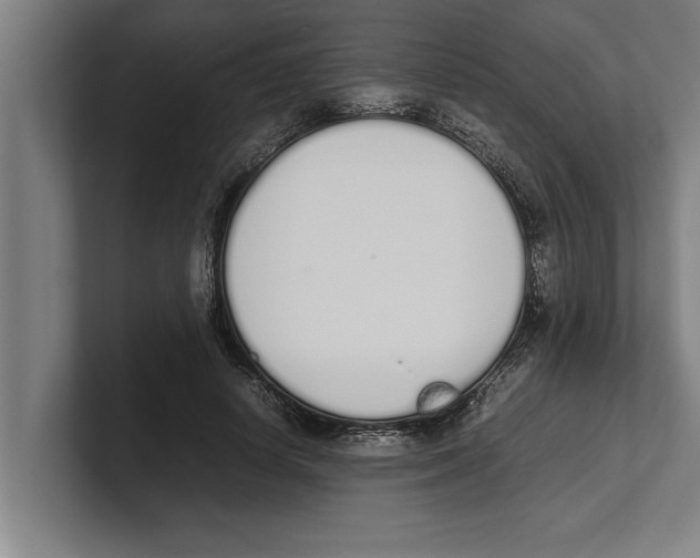 X0000100770642200807171412