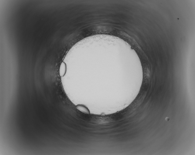 X0000100770663200807171413