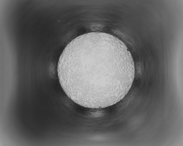 X0000100770667200807171413
