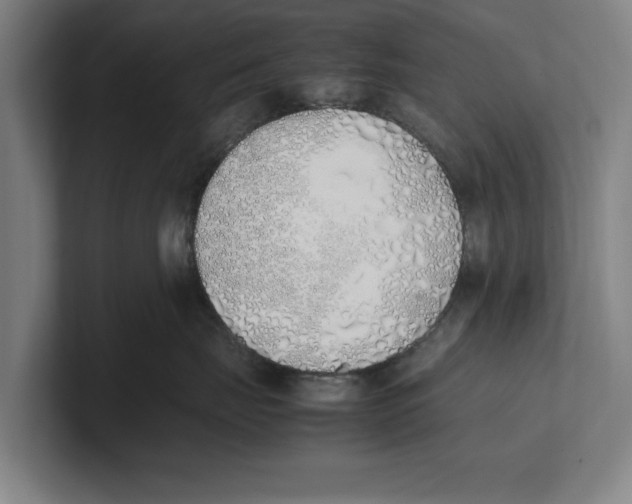 X0000100770671200807171413