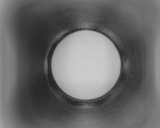 X0000100770678200807171412