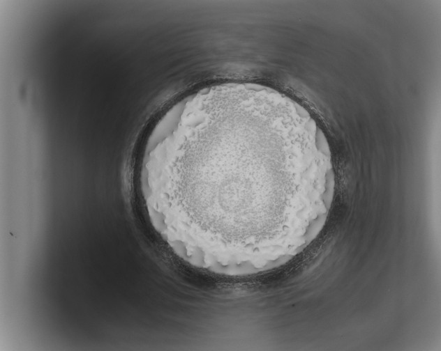 X0000100770679200807171412