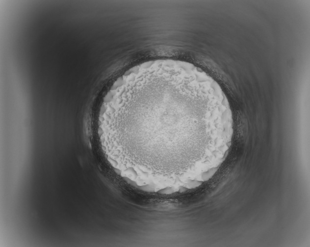 X0000100770683200807171412