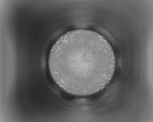 X0000100770687200807171412