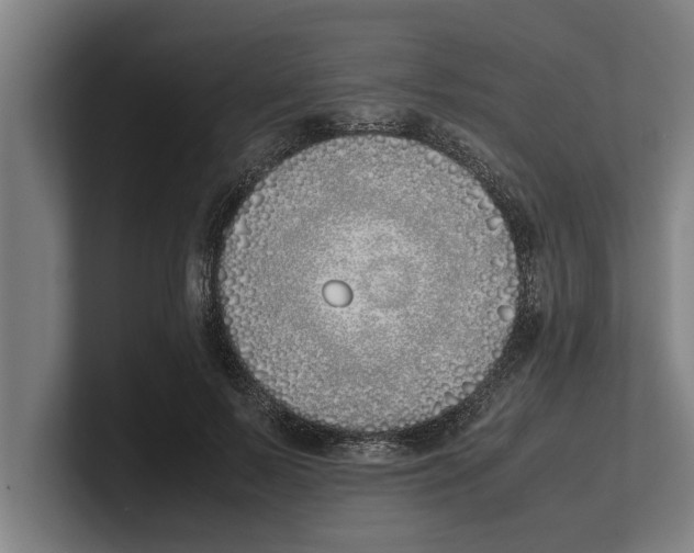 X0000100770695200807171412