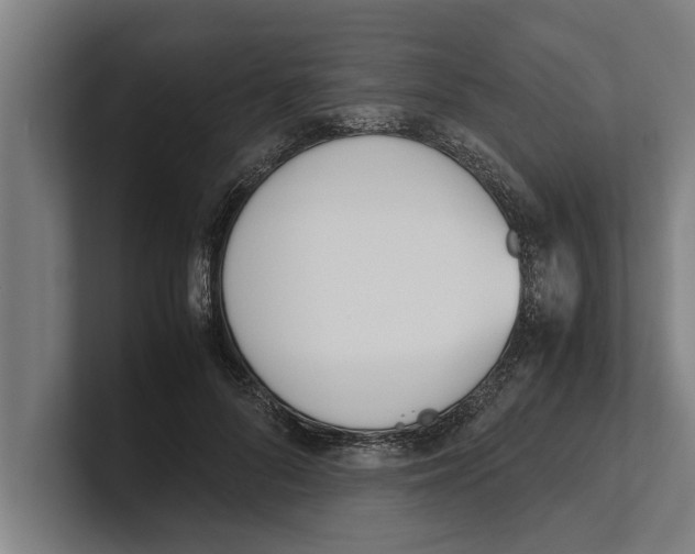 X0000100770696200807171412