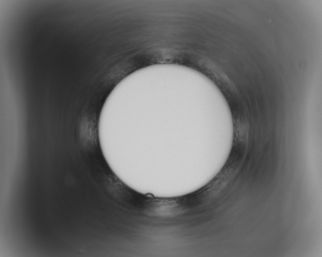 X0000100770719200807171411