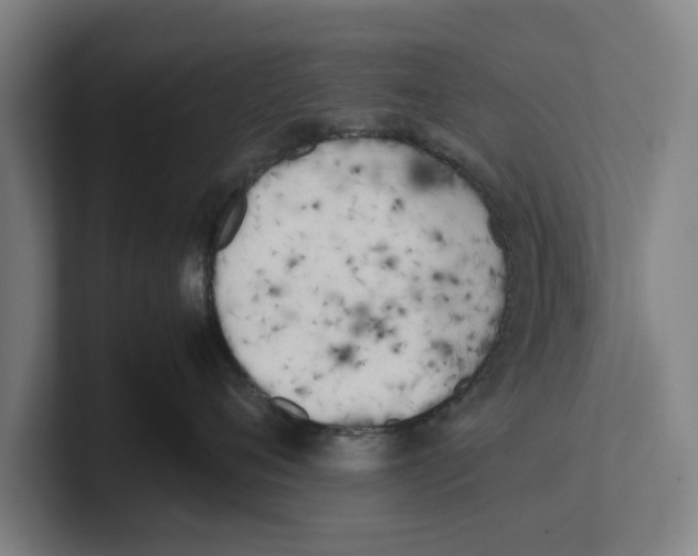 X0000100770720200807171411