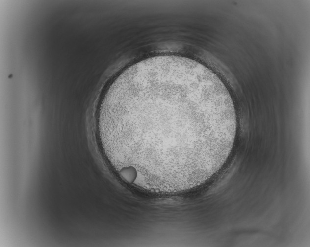 X0000100770721200807171411