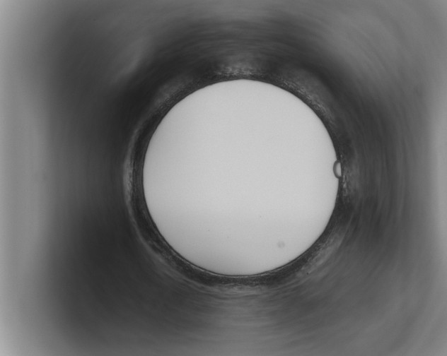 X0000100770722200807171411